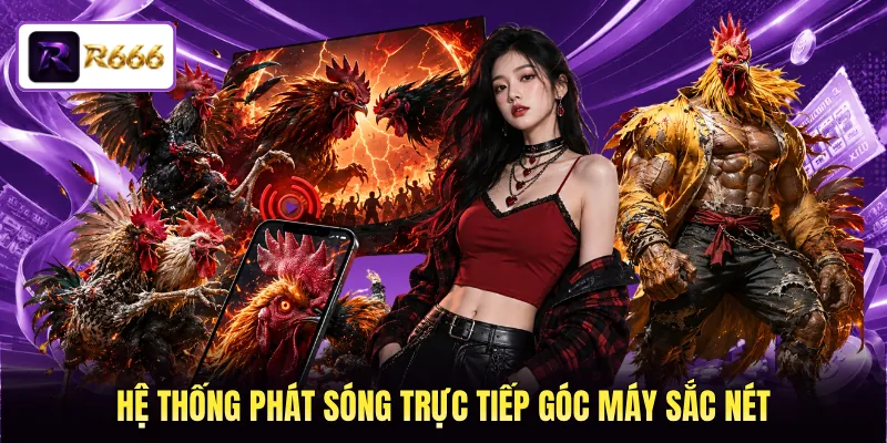 Hệ thống phát sóng trực tiếp góc máy sắc nét