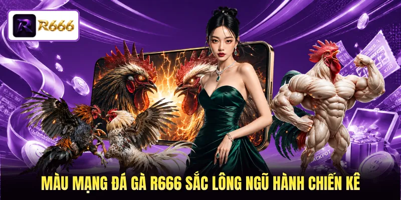 Màu mạng đá gà R666 sắc lông ngũ hành chiến kê